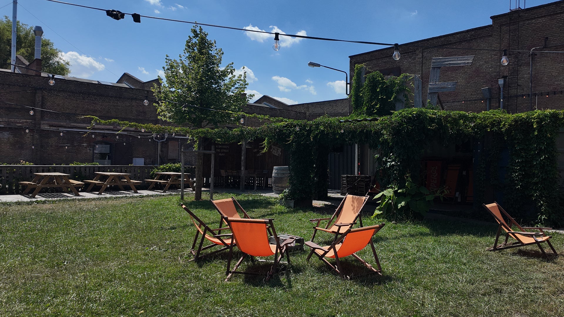 Sitzbereich im Freien mit orangefarbenen Stühlen, die um einen kleinen Tisch im Gras angeordnet sind, umgeben von Picknicktischen und Grünpflanzen. Über dem Kopf hängen Lichterketten, im Hintergrund sind Backsteingebäude und ein sonniger blauer Himmel zu sehen.