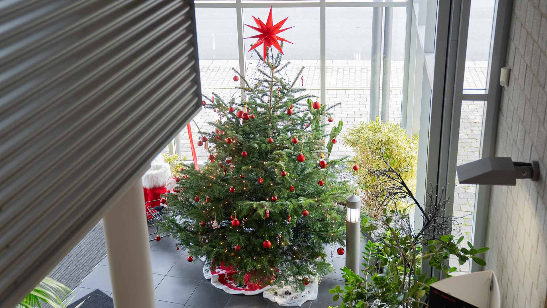 Ein geschmückter Weihnachtsbaum mit roten Ornamenten und einem großen roten Stern an der Spitze steht in einem hellen, modernen Innenraum in der Nähe großer Fenster und einiger grüner Pflanzen.